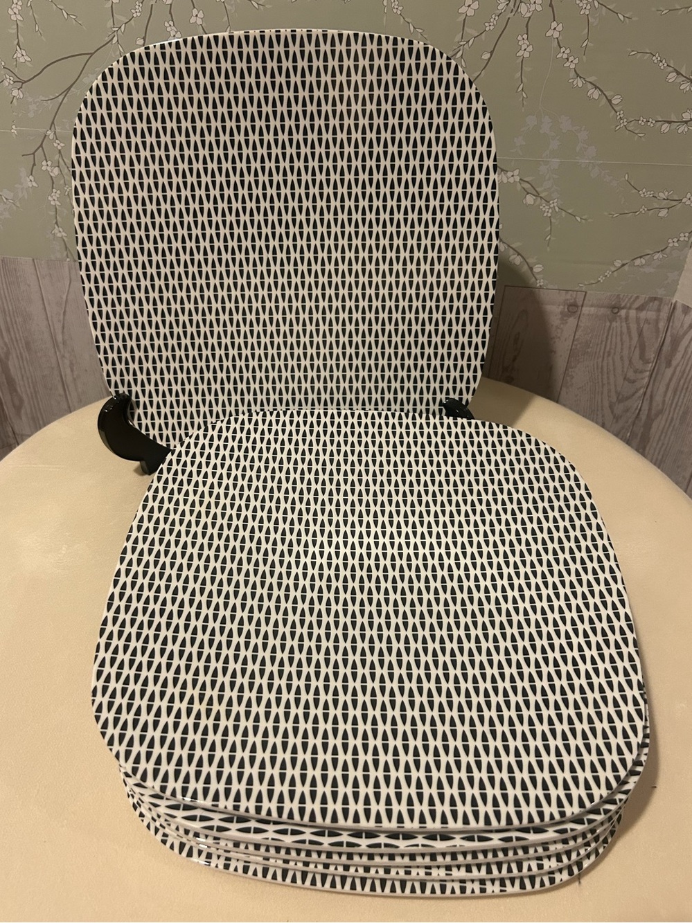 6 Crate & Barrel Carnaby Melamine Dinner Plates